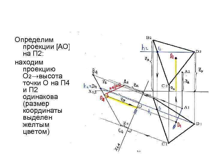 Определим проекции [АО] на П 2: находим проекцию О 2→высота точки О на П