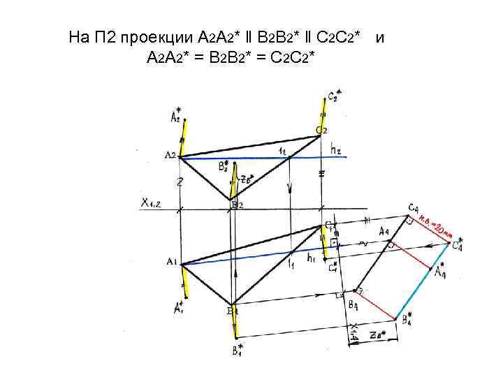 На П 2 проекции А 2 А 2* ‖ В 2 В 2* ‖