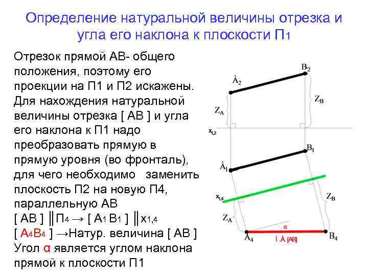 Определение натуральной величины отрезка и угла его наклона к плоскости П 1 Отрезок прямой