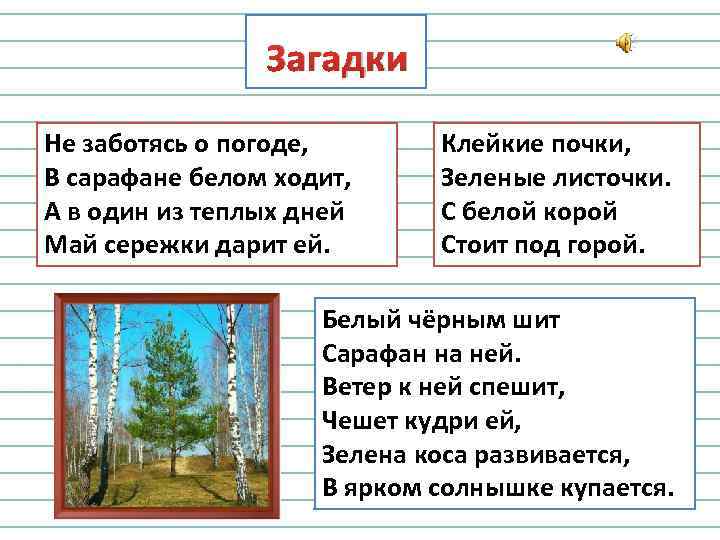 Загадки Не заботясь о погоде, В сарафане белом ходит, А в один из теплых