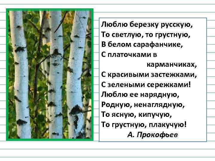 Люблю березку русскую, То светлую, то грустную, В белом сарафанчике, С платочками в карманчиках,