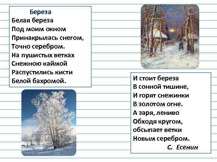 Береза Белая береза Под моим окном Принакрылась снегом, Точно серебром. На пушистых ветках Снежною