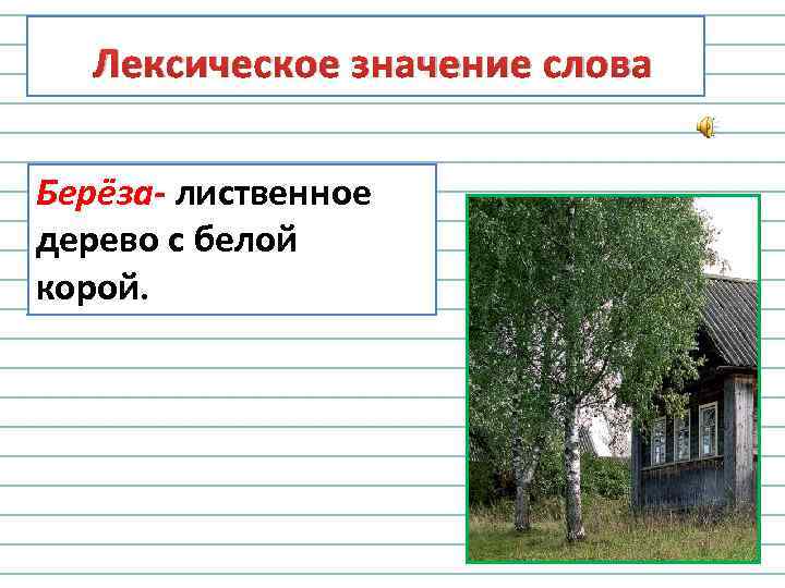 Лексическое значение слова Берёза- лиственное дерево с белой корой. 