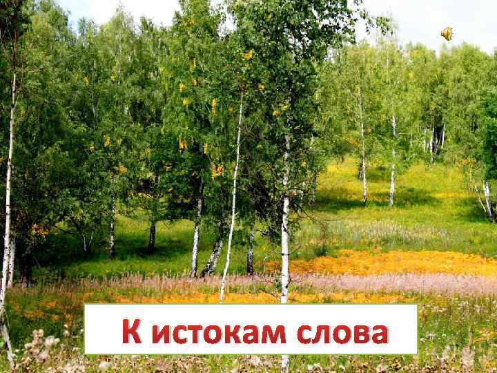 К истокам слова 