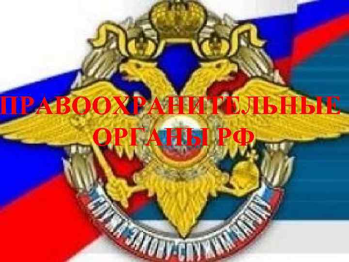 ПРАВООХРАНИТЕЛЬНЫЕ ОРГАНЫ РФ 