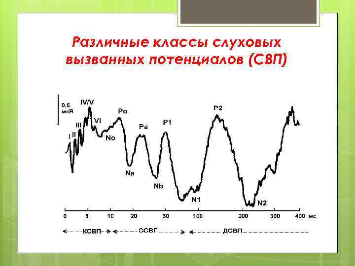 Различные классы слуховых вызванных потенциалов (СВП) 