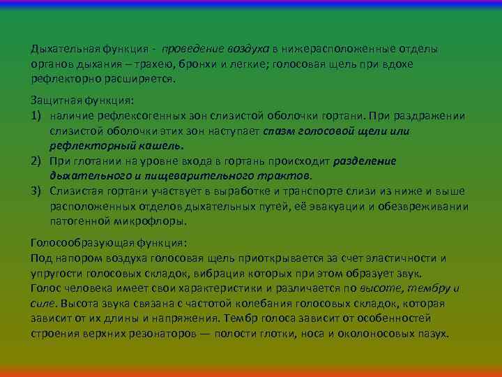 Дыхательная функция - проведение воздуха в нижерасположенные отделы органов дыхания – трахею, бронхи и