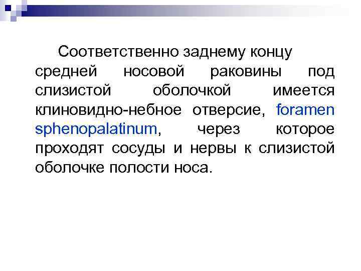 Соответственно заднему концу средней носовой раковины под слизистой оболочкой имеется клиновидно-небное отверсие, foramen sphenopalatinum,