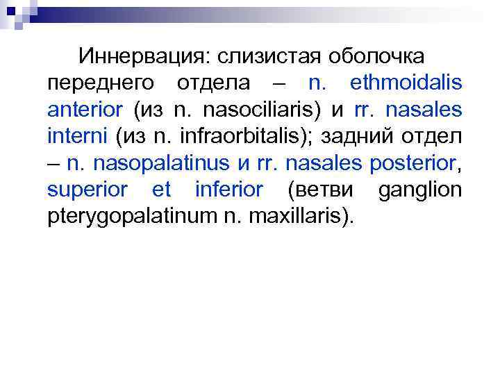 Иннервация: слизистая оболочка переднего отдела – n. ethmoidalis anterior (из n. nasociliaris) и rr.