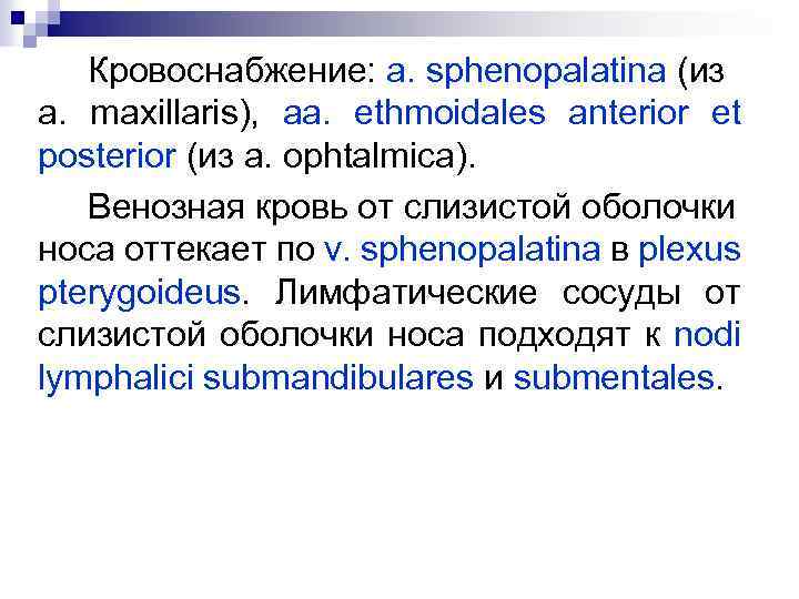 Кровоснабжение: a. sphenopalatina (из a. maxillaris), aa. ethmoidales anterior et posterior (из a. ophtalmica).