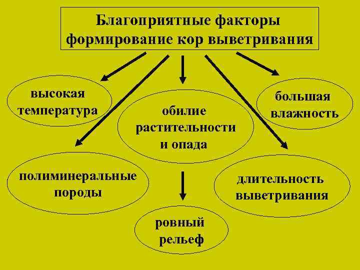 Благоприятные факторы формирование кор выветривания высокая температура обилие растительности и опада полиминеральные породы большая