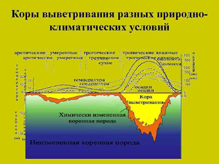 Коры выветривания разных природноклиматических условий 