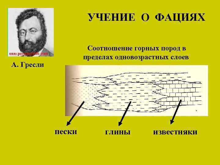 УЧЕНИЕ О ФАЦИЯХ Соотношение горных пород в пределах одновозрастных слоев А. Гресли пески глины