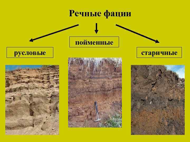 Речные фации пойменные русловые старичные 