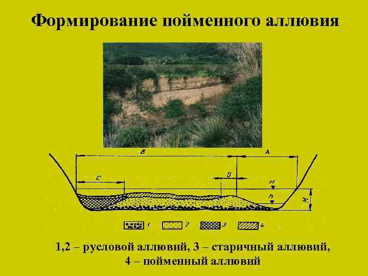 Формирование пойменного аллювия 1, 2 – русловой аллювий, 3 – старичный аллювий, 4 –