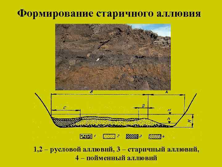 Формирование старичного аллювия 1, 2 – русловой аллювий, 3 – старичный аллювий, 4 –