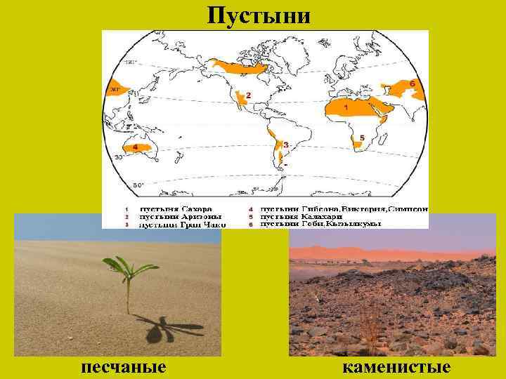 Пустыни песчаные каменистые 