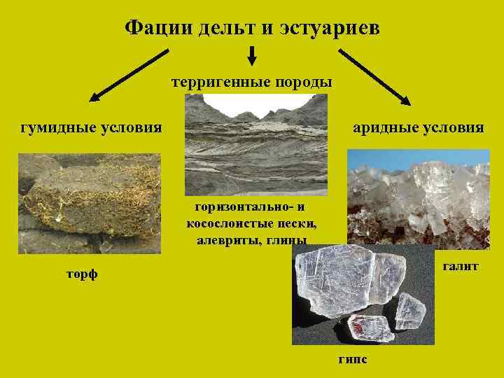 Фации дельт и эстуариев терригенные породы гумидные условия аридные условия горизонтально- и косослоистые пески,