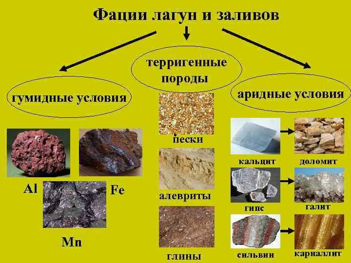 Фации лагун и заливов терригенные породы аридные условия гумидные условия. пески кальцит гипс Al