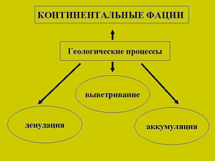 КОНТИНЕНТАЛЬНЫЕ ФАЦИИ Геологические процессы выветривание денудация аккумуляция 