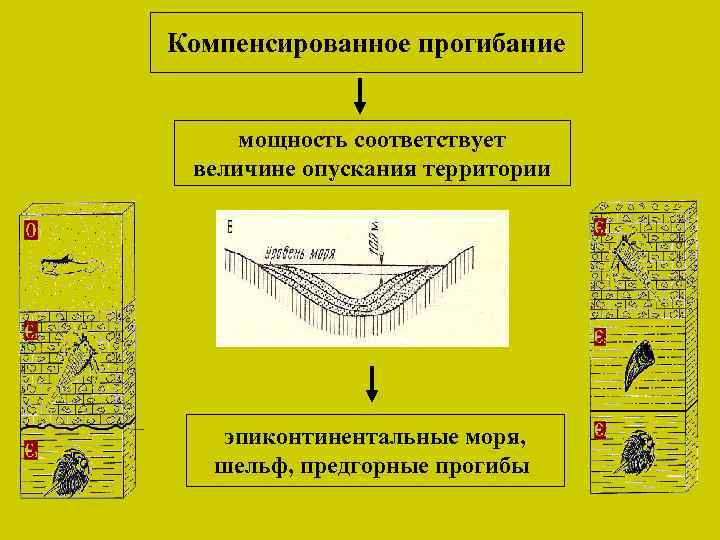 Компенсированное прогибание мощность соответствует величине опускания территории эпиконтинентальные моря, шельф, предгорные прогибы 