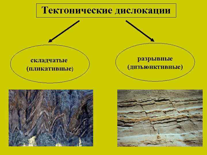 Тектонические дислокации складчатые (пликативные) разрывные (дизъюнктивные) 