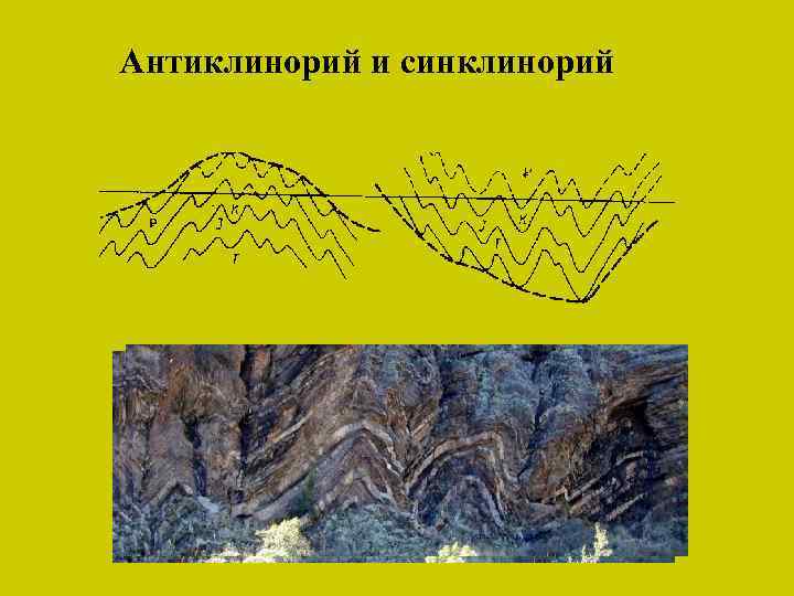 Антиклинорий и синклинорий 