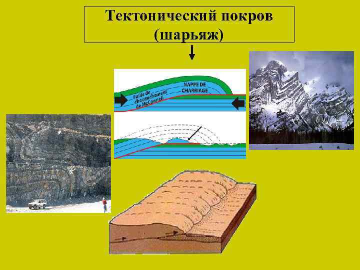 Тектонический покров (шарьяж) 