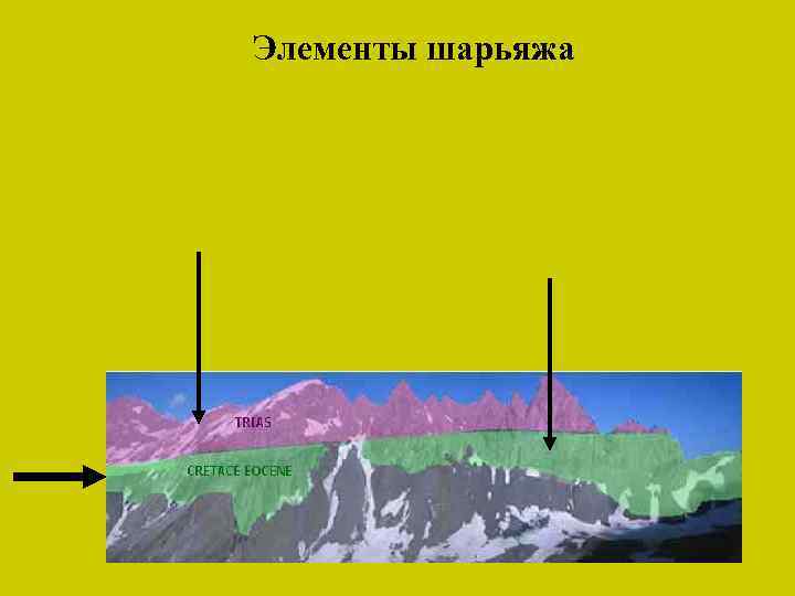 Элементы шарьяжа 