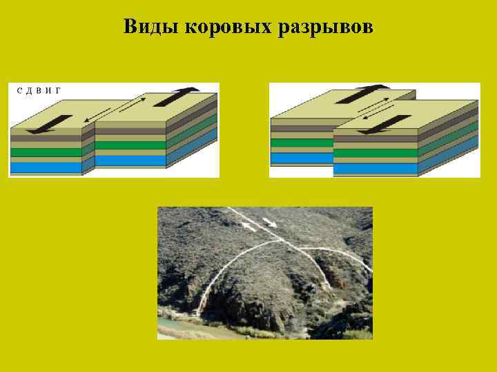 Виды коровых разрывов 