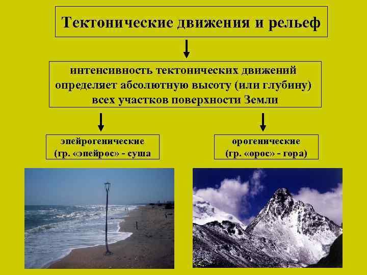 Тектонические движения и рельеф интенсивность тектонических движений определяет абсолютную высоту (или глубину) всех участков