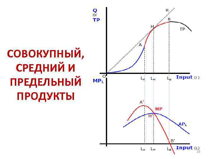 СОВОКУПНЫЙ, СРЕДНИЙ И ПРЕДЕЛЬНЫЙ ПРОДУКТЫ 23 