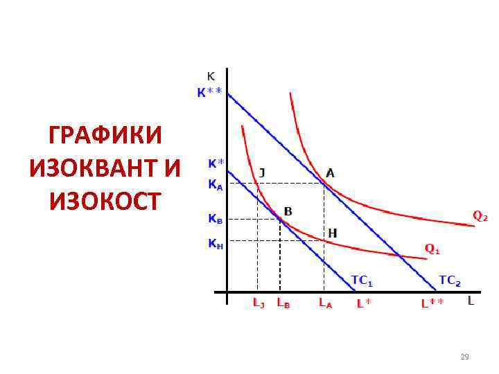 ГРАФИКИ ИЗОКВАНТ И ИЗОКОСТ 29 