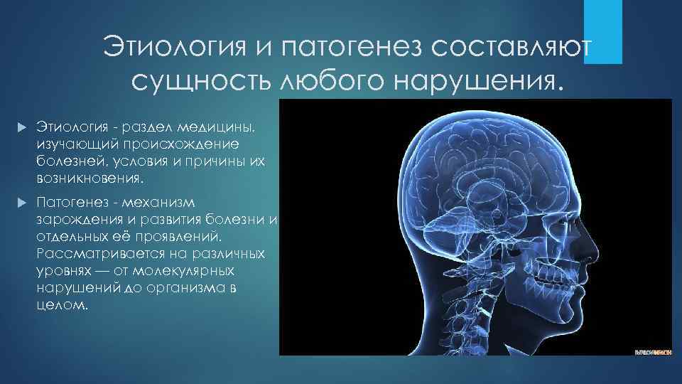 Откуда болезнь. Раздел медицины изучающий причины и условия возникновения болезней. Раздел медицины причины и условия болезни. Механизм зарождения и развития заболеваний и отдельных их проявлений.