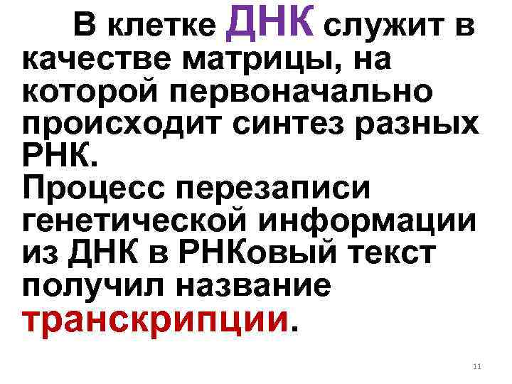 В клетке ДНК служит в качестве матрицы, на которой первоначально происходит синтез разных РНК.