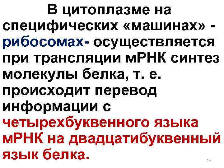 В цитоплазме на специфических «машинах» рибосомах- осуществляется при трансляции м. РНК синтез молекулы белка,