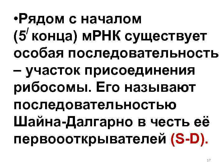  • Рядом с началом / (5 конца) м. РНК существует особая последовательность –