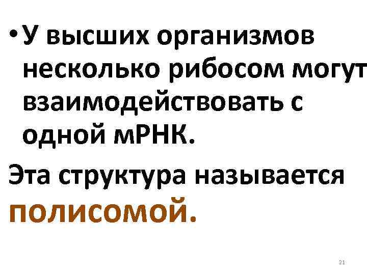  • У высших организмов несколько рибосом могут взаимодействовать с одной м. РНК. Эта