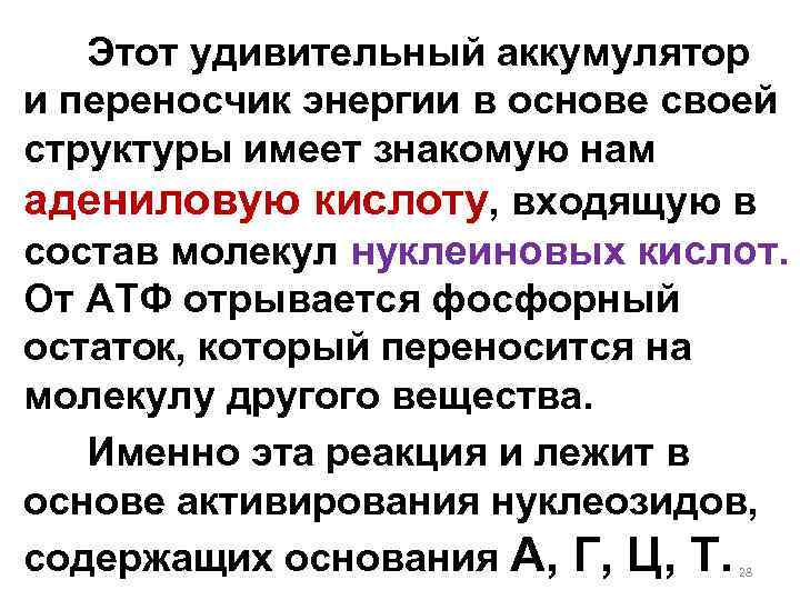 Этот удивительный аккумулятор и переносчик энергии в основе своей структуры имеет знакомую нам адениловую