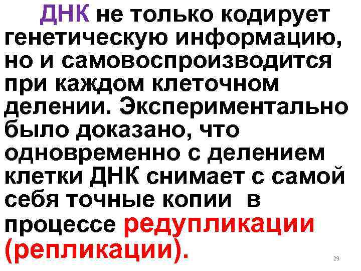 ДНК не только кодирует генетическую информацию, но и самовоспроизводится при каждом клеточном делении. Экспериментально