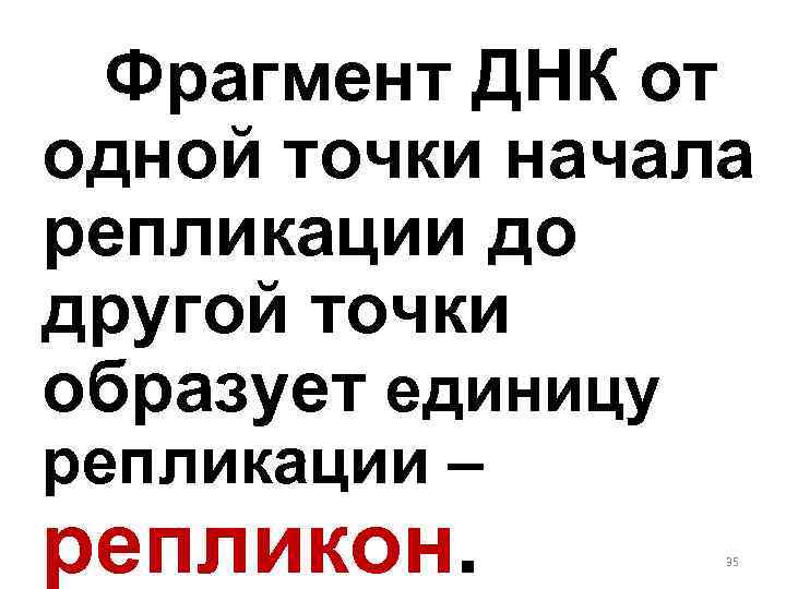 Фрагмент ДНК от одной точки начала репликации до другой точки образует единицу репликации –
