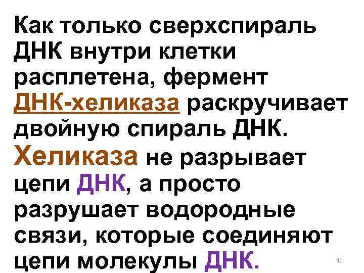 Как только сверхспираль ДНК внутри клетки расплетена, фермент ДНК-хеликаза раскручивает двойную спираль ДНК. Хеликаза