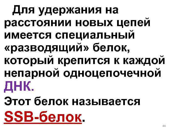 Для удержания на расстоянии новых цепей имеется специальный «разводящий» белок, который крепится к каждой