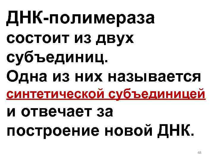 ДНК-полимераза состоит из двух субъединиц. Одна из них называется синтетической субъединицей и отвечает за