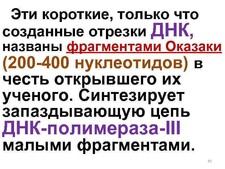 Эти короткие, только что созданные отрезки ДНК, названы фрагментами Оказаки (200 -400 нуклеотидов) в