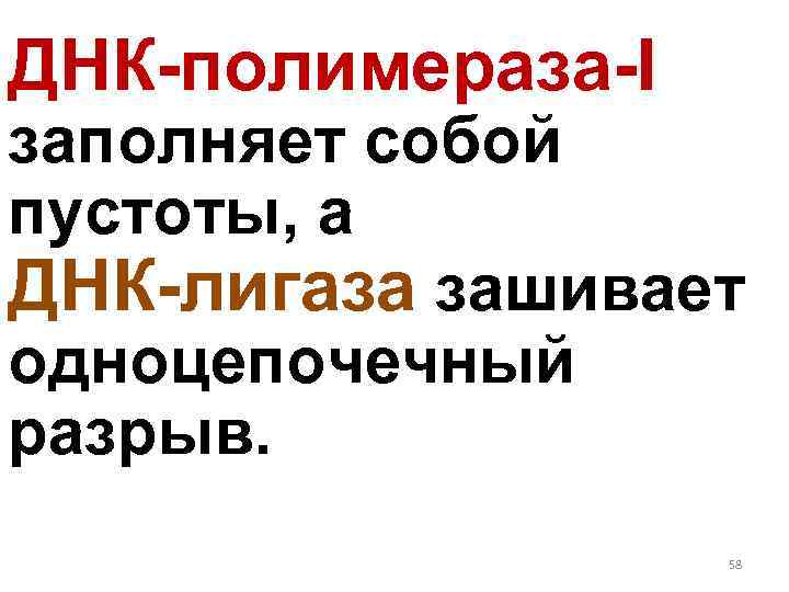 ДНК-полимераза-I заполняет собой пустоты, а ДНК-лигаза зашивает одноцепочечный разрыв. 58 