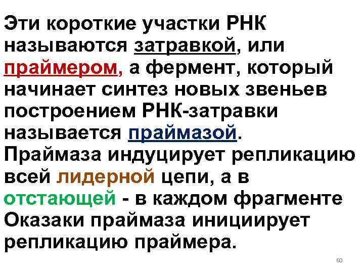 Эти короткие участки РНК называются затравкой, или праймером, а фермент, который начинает синтез новых