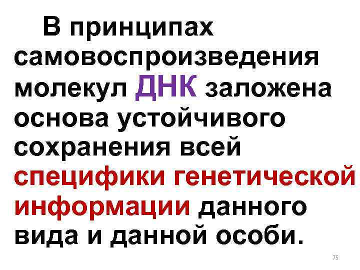 В принципах самовоспроизведения молекул ДНК заложена основа устойчивого сохранения всей специфики генетической информации данного