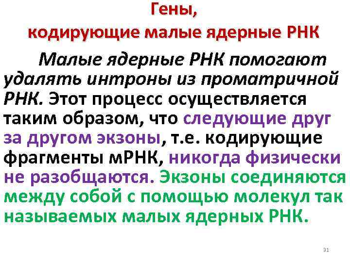 Гены, кодирующие малые ядерные РНК Малые ядерные РНК помогают удалять интроны из проматричной РНК.