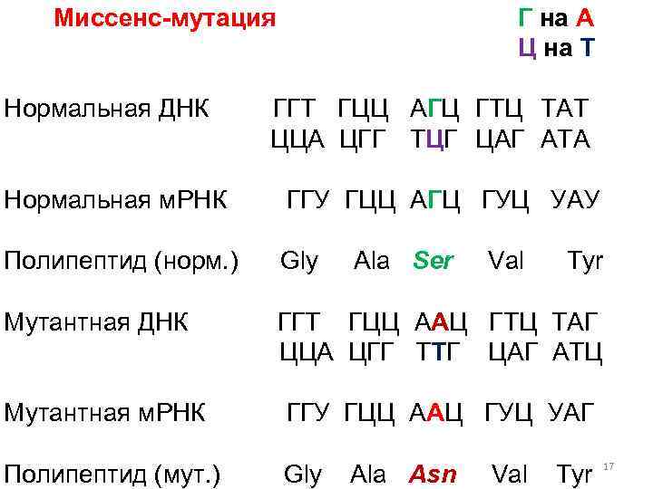 А т г ц в днк. Триплет ДНК АГЦ. ДНК АЦТ ГГТ ААЦ цаг ГТГ. Цаг это ДНК. Г А Т Г Ц А Т Г А Т Г А мутация.